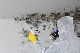 Why You Should Choose Our Mold Remediation Services in Centre, AL